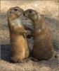 Hab dich lieb ;-)